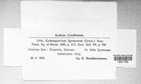 Image Associated With the Occurence
